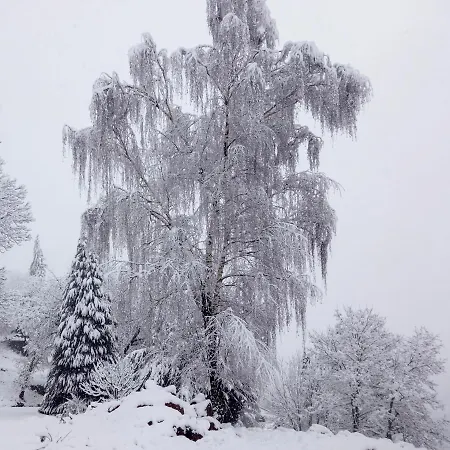 Villa Quinta Outono Dourado Montalegre