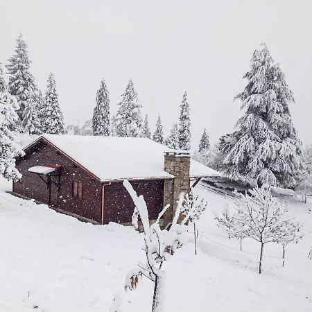 Quinta Outono Dourado *
