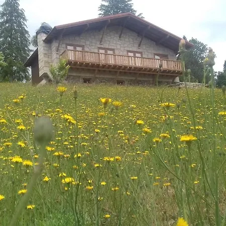 Quinta Outono Dourado Villa Montalegre