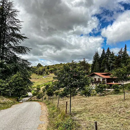 Quinta Outono Dourado Villa *