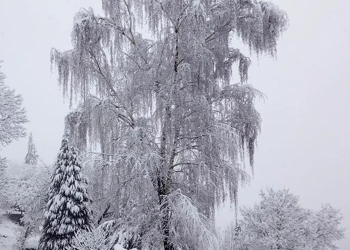 Villa Quinta Outono Dourado Montalegre