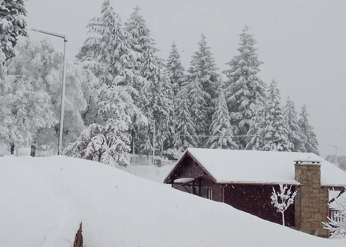 Quinta Outono Dourado