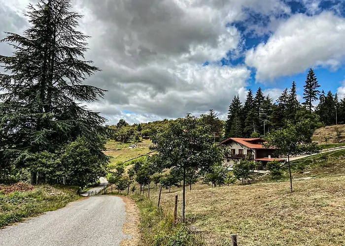 Quinta Outono Dourado Villa *